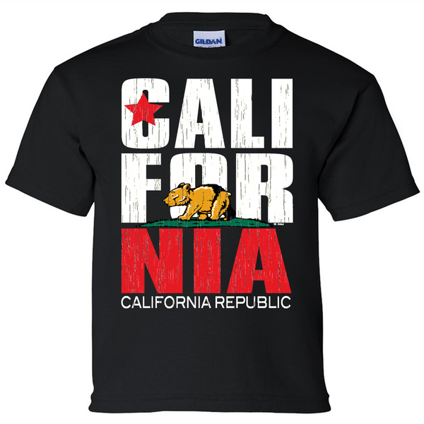 California republic t shirt shop