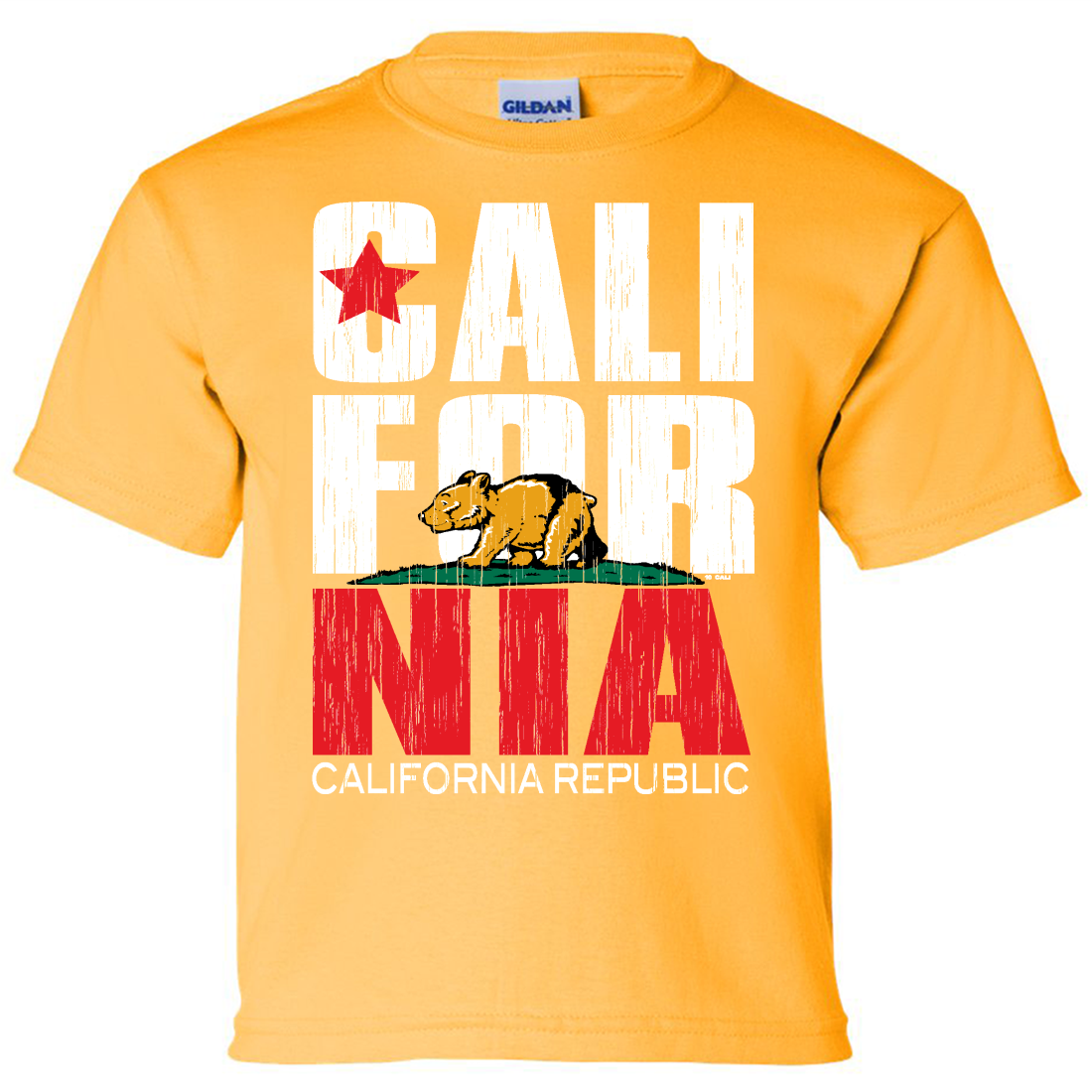 TeeStars California Bear Republic Kids T-Shirt – X-Large Grey Graphic Tee - View #6
