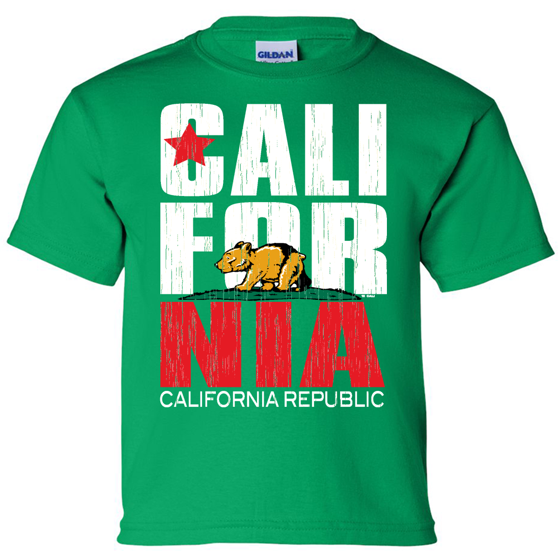 TeeStars California Bear Republic Kids T-Shirt – X-Large Grey Graphic Tee - View #3