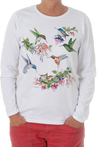 Hummingbirds of N.A.