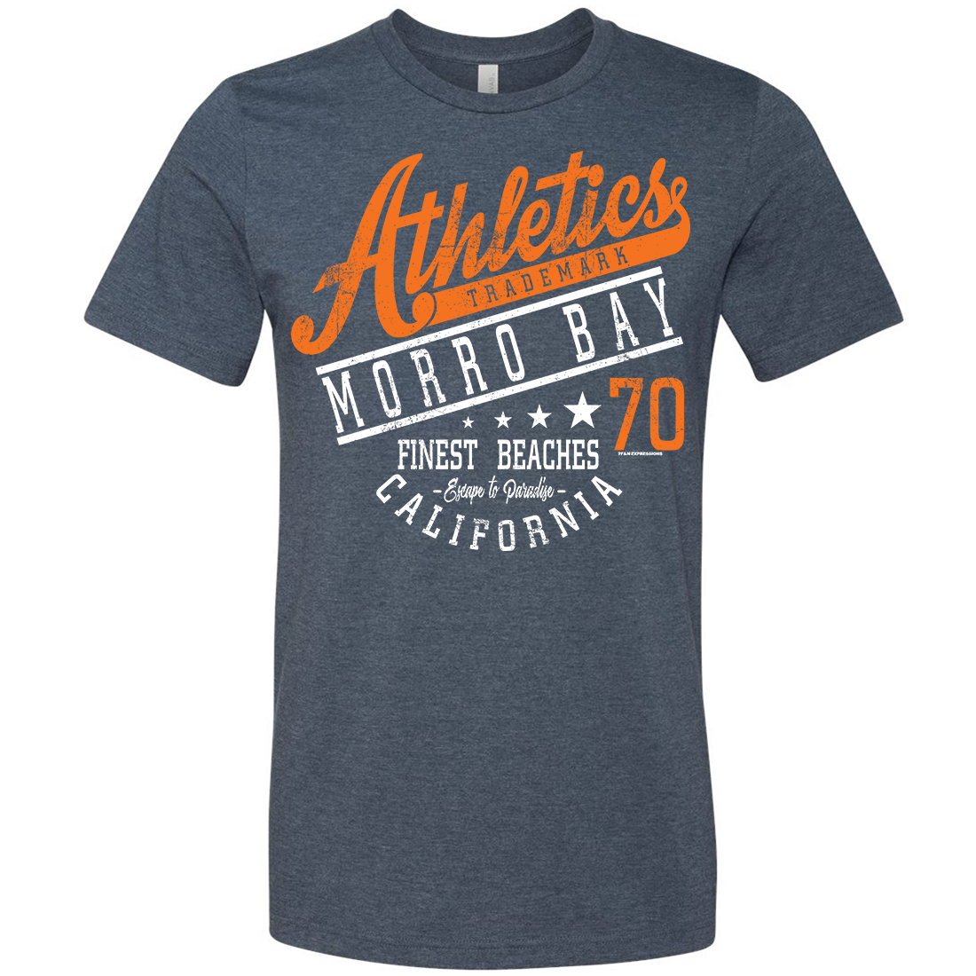 Morro Bay Athletics Asst Colors Mens Lightweight Fitted T-Shirt/tee -  California Republic Clothes