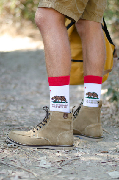 California Republic Striped Socks - Men's